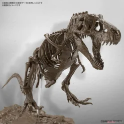 Bandai - 1/32 Imaginary Skeleton Tyrannosaurus - Model Kit 7 Bandai - 1/32 Imaginary Skeleton Tyrannosaurus - Model Kit -Magasin De Jouets bandai 132 imaginary skeleton tyrannosaurus model kit 6250ff9ce034f