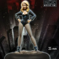 Batman - The Animated Series Black Canary