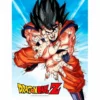 Dragon Ball - Impression En Verre - Goku Kame - 30x40 Cm -Magasin De Jouets dragon ball impression en verre goku kame 30x40 cm
