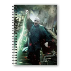 SD Toys Harry Potter Cahier Effet 3d Voldemort Poster