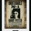 Harry Potter - Collector Print 30x40 - Undesirable No1 -Magasin De Jouets harry potter collector print 30x40 undesirable no1