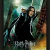 Harry Potter - Deathly Hallows - Poster Lenticulaire 3d 26x20cm -Magasin De Jouets harry potter deathly hallows poster lenticulaire 3d 26x20cm