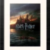 Harry Potter - Et Les Reliques De La Mort - Collector Print '30x40cm' - Encadrés -Magasin De Jouets harry potter et les reliques de la mort collector print 30x40cm encadres