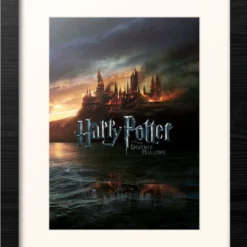 Harry Potter - Et Les Reliques De La Mort - Collector Print '30x40cm' - Encadrés