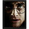 Harry Potter - Harry Vs Voldemort - Poster Lenticulaire 3d 26x20cm -Magasin De Jouets harry potter harry vs voldemort poster lenticulaire 3d 26x20cm