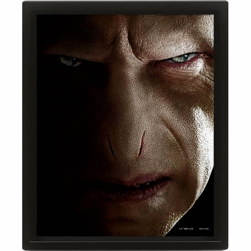 Harry Potter - Harry Vs Voldemort - Poster Lenticulaire 3d 26x20cm 4 Harry Potter - Harry Vs Voldemort - Poster Lenticulaire 3d 26x20cm – Image 2