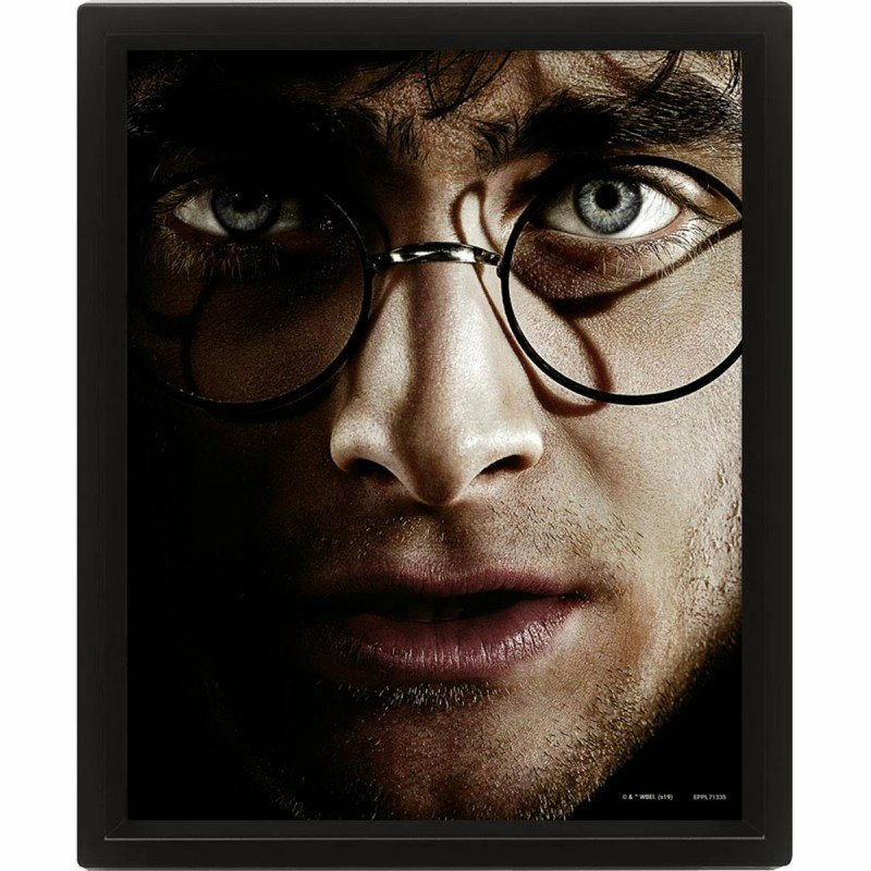 Harry Potter - Harry Vs Voldemort - Poster Lenticulaire 3d 26x20cm 3 Harry Potter - Harry Vs Voldemort - Poster Lenticulaire 3d 26x20cm