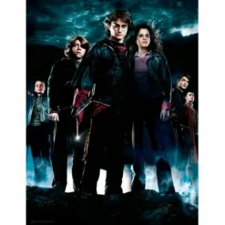Harry Potter - Impression En Verre - Group Hp4 - 30x40 Cm