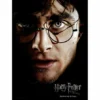 Harry Potter - Impression En Verre - Harry Face- 30x40 Cm -Magasin De Jouets harry potter impression en verre harry face 30x40 cm