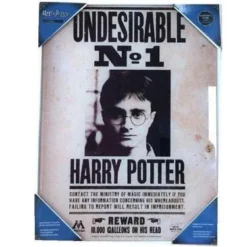 Harry Potter - Impression En Verre - Undesirable N°1 - 30x40 Cm