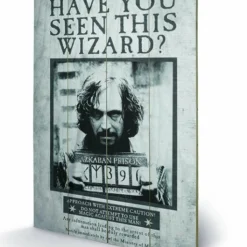 Pyramid International HARRY POTTER - Impression Sur Bois 40X59 - Sirius Wanted -Magasin De Jouets harry potter impression sur bois 40x59 sirius wanted 599b051289039