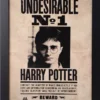 Harry Potter - Indésirable N°1 - Collector Print '30x40cm' -Magasin De Jouets harry potter indesirable n1 collector print 30x40cm