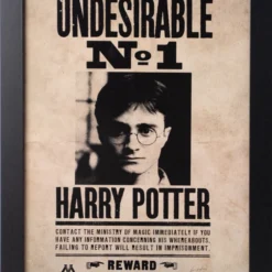 Harry Potter - Indésirable N°1 - Collector Print '30x40cm'