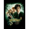 Harry Potter - La Chambre Des Secrets - Impression Encadrée 30x40cm 2 Harry Potter - La Chambre Des Secrets - Impression Encadrée 30x40cm -Magasin De Jouets harry potter la chambre des secrets impression encadree 30x40cm