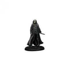 Harry Potter Miniatures Adventure Game 2e édition - Jeu De Figurines -Magasin De Jouets harry potter miniature adventure game boite de base fr 61ae1fc8145a0
