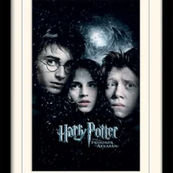 Harry Potter - Mounted & Framed 30x40 Print - Prisoner Of Azkaban