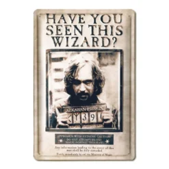 Logoshirt Harry Potter Panneau Métal 3d Have You Seen This Wizard 20 X 30 Cm