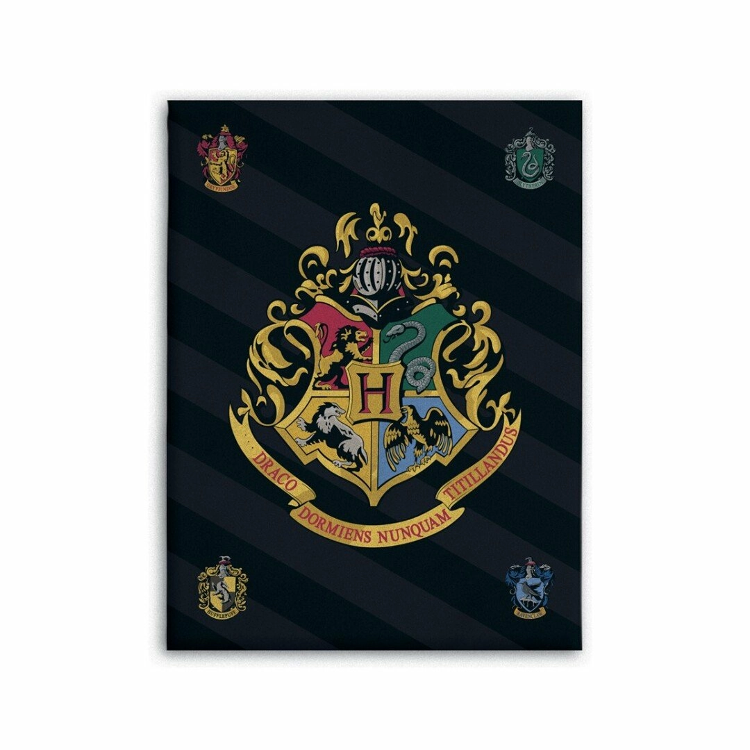 Harry Potter - Plaid En Polaire 100x140cm 3 Harry Potter - Plaid En Polaire 100x140cm