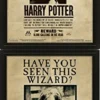 Pyramid International Harry Potter- Poster 3d Lenticulaire- Harry Potter & Sirius (20x25cm) -Magasin De Jouets harry potter poster 3d lenticulaire harry potter sirius 20x25cm