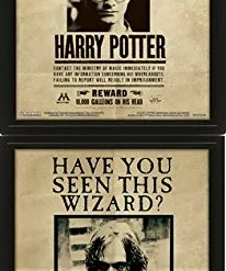 Pyramid International Harry Potter- Poster 3d Lenticulaire- Harry Potter & Sirius (20x25cm)