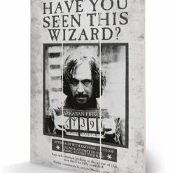 Harry Potter - Sirius Wanted - Impression Sur Bois 20x29.5
