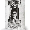 Harry Potter - Undesirable No1 - Impression Sur Bois 20x29.5 -Magasin De Jouets harry potter undesirable no1 impression sur bois 20x295 1