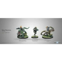 Infinity - Kerail Preceptors