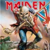Iron Maiden Panneau Métal Trooper 20 X 30 Cm -Magasin De Jouets iron maiden panneau metal trooper 20 x 30 cm