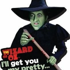 Aquarius Le Magicien D'oz Aimant Funky Chunky I'll Get You...