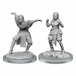 Wizkids Pathfinder Battles Deep Cuts Pack 2 Miniatures à Peindre Half-elf Monk Female (carton De 2)