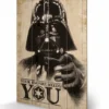 Pyramid International STAR WARS - Impression Sur Bois 40X59 - Your Empire Needs You 1 Pyramid International STAR WARS - Impression Sur Bois 40X59 - Your Empire Needs You -Magasin De Jouets star wars impression sur bois 40x59 your empire needs you