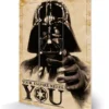 Pyramid International Star Wars - Votre Empire A Besoin De Vous Impression Sur Bois 20 X 29.5 Cm -Magasin De Jouets star wars votre empire a besoin de vous impression sur bois 20 x 295 cm