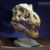 Wonders Of The Wild Series Statuette T-rex Head Skull 30 Cm 1 Wonders Of The Wild Series Statuette T-rex Head Skull 30 Cm -Magasin De Jouets wonders of the wild series statuette t rex head skull 30 cm