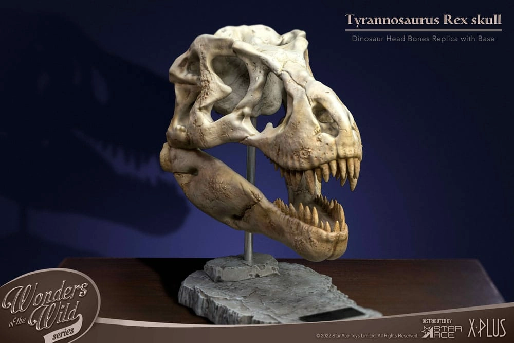Wonders Of The Wild Series Statuette T-rex Head Skull 30 Cm 3 Wonders Of The Wild Series Statuette T-rex Head Skull 30 Cm
